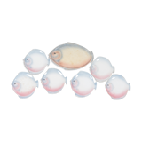 Assiettes poissons