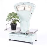 Vieille balance de cuisine
