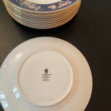 Wedgwood Blue Siam plate