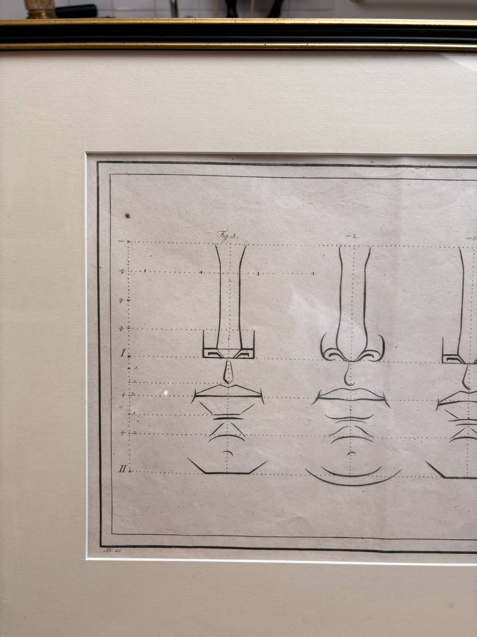 Old Print Engraving 19th Century Anatomy Nose Mouth Plate Head Morphology