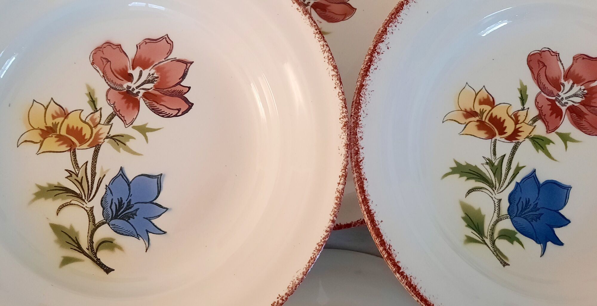 Hollow earthenware plates from Saint Amand Ceranord Vintage Maïté Model