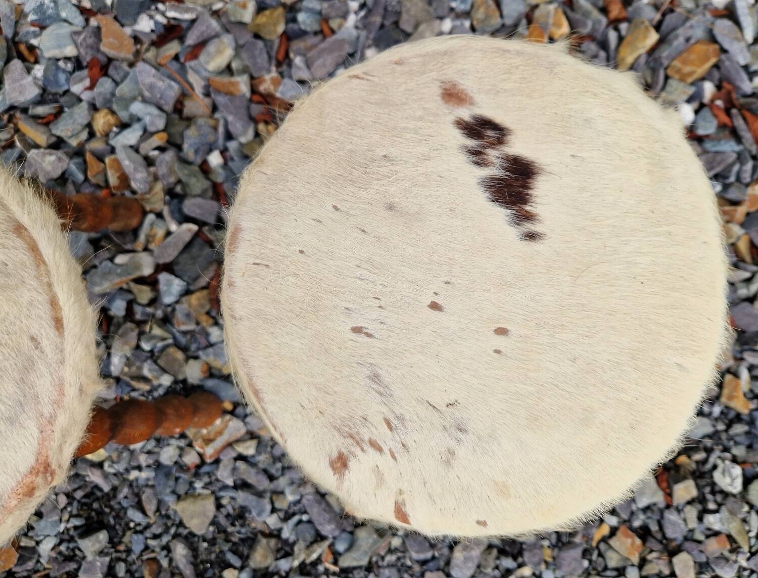 Pair of Baumann chairs