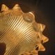 Tulipe holophane en verre