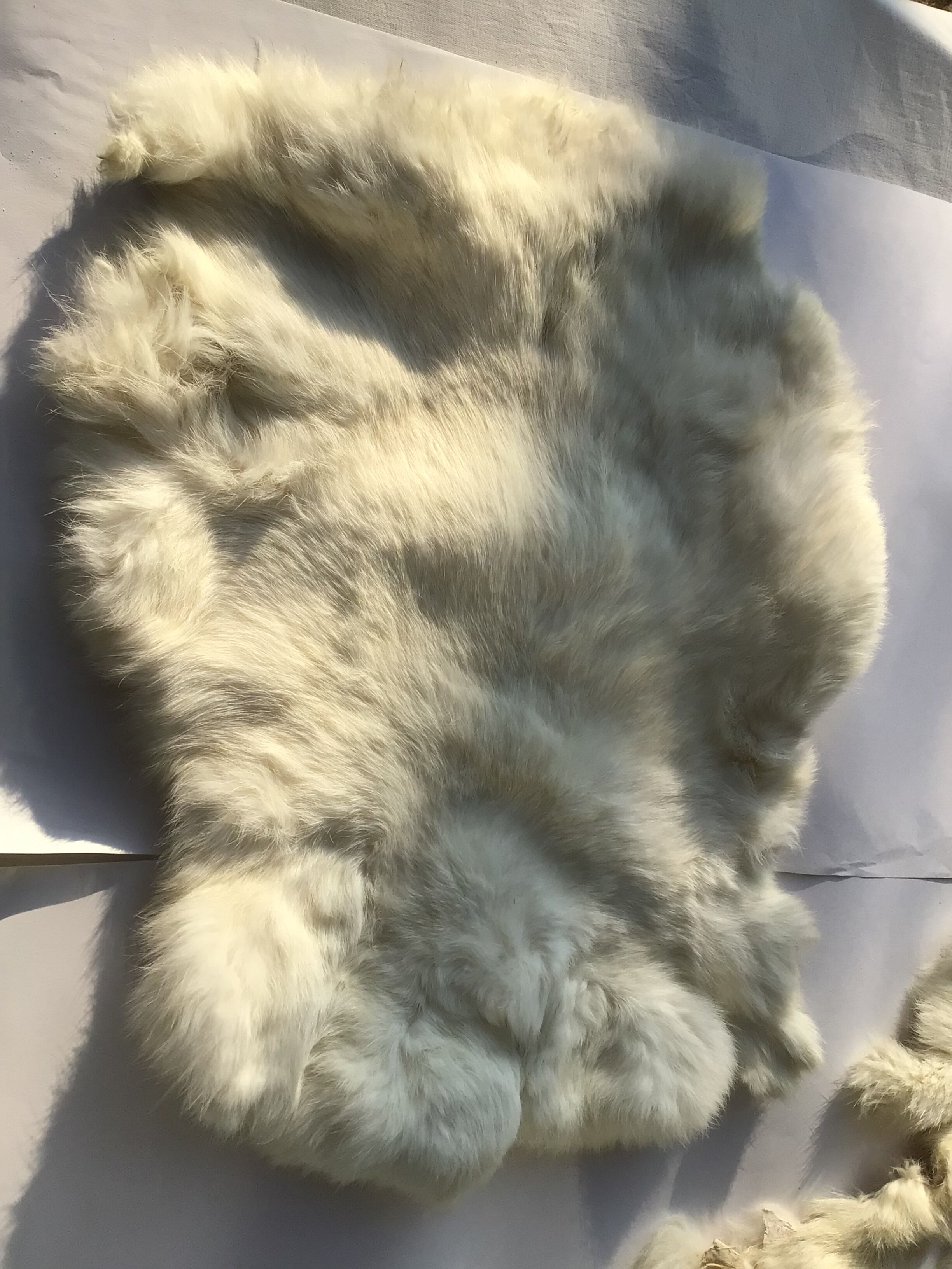 White rabbit skin