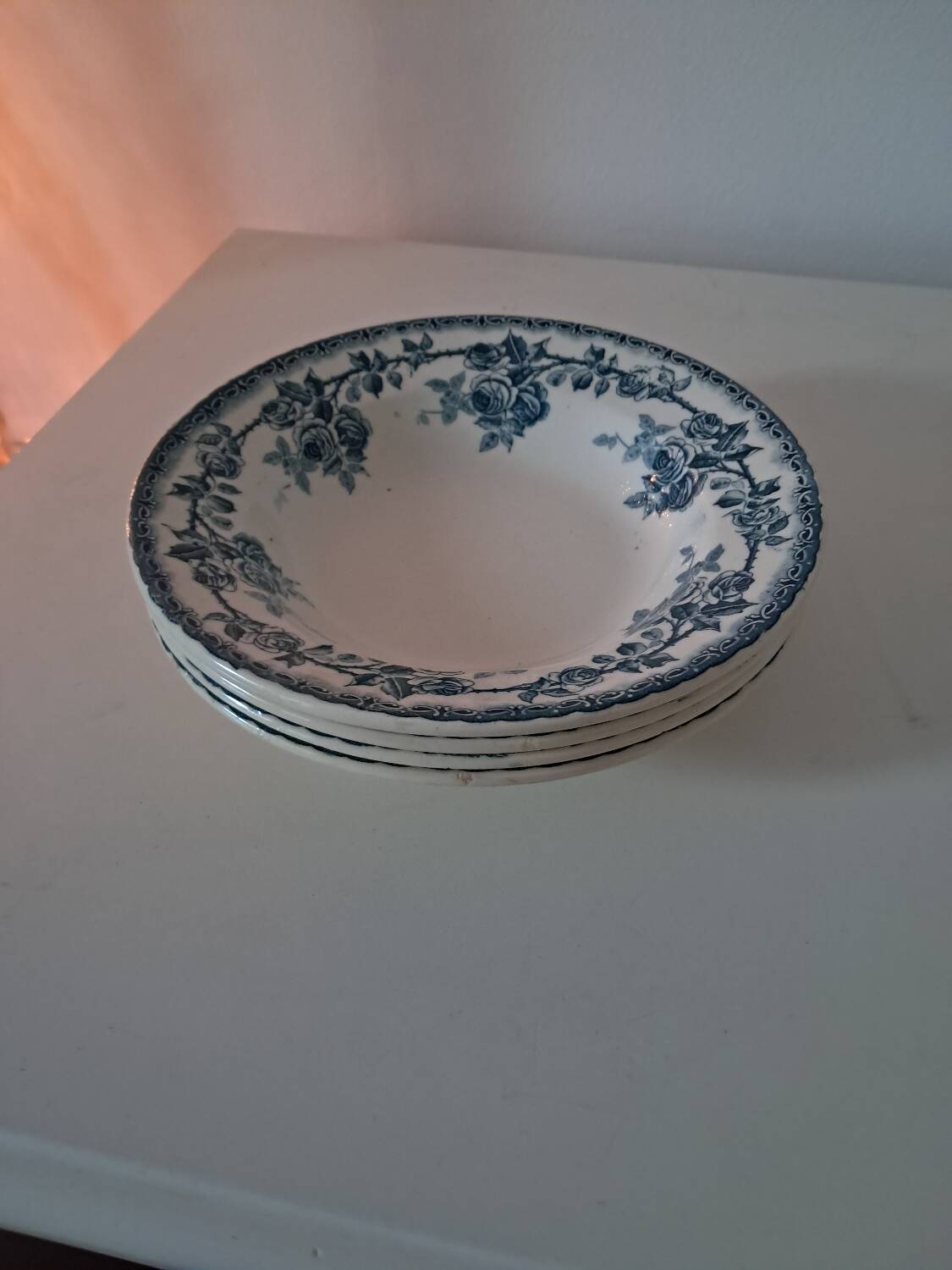 Plates crown of roses. Iron earth