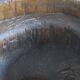 Carved antique tree stump coffee table with circular glass top