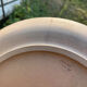 Raw organic flat plates Gre du Marais