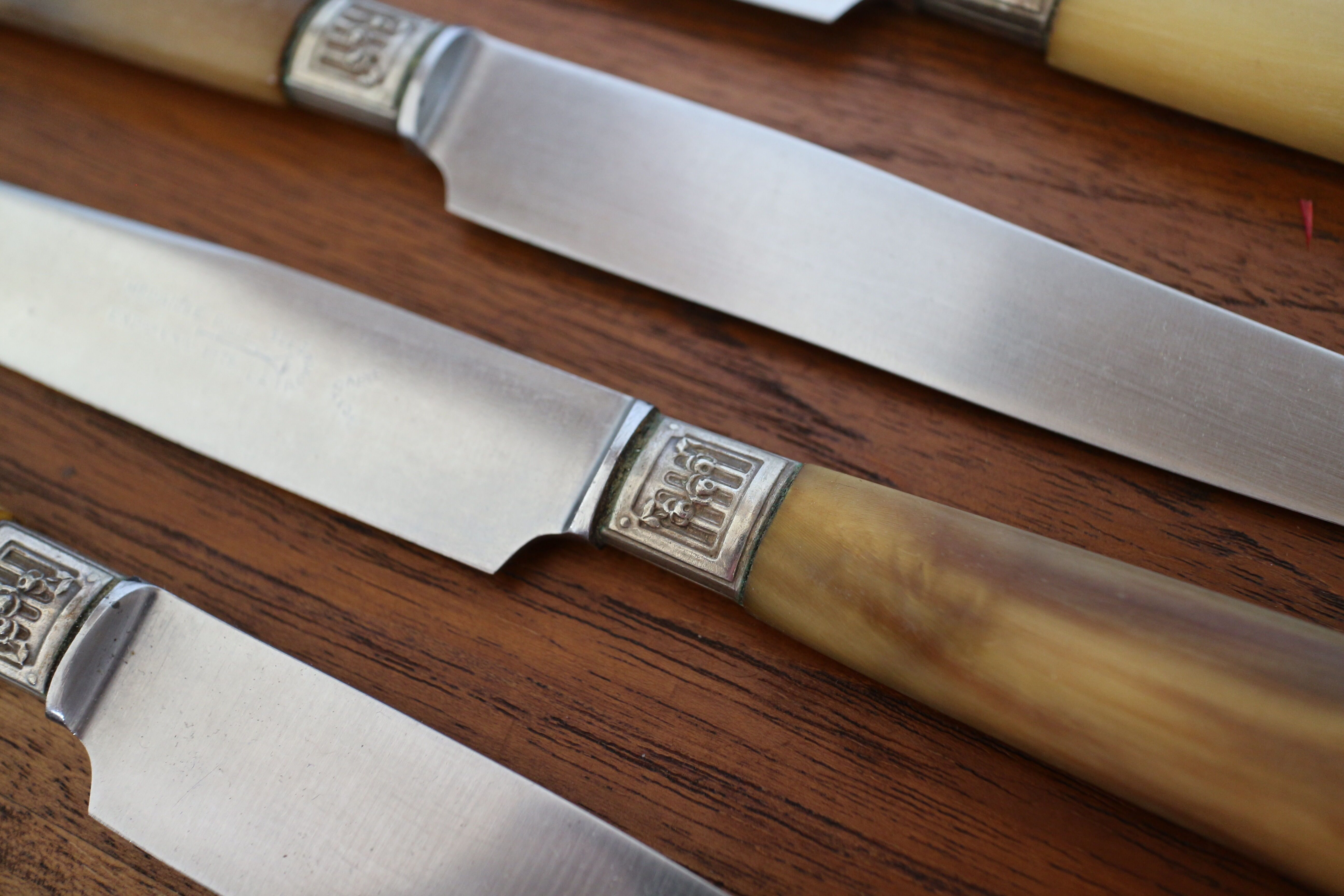 Set of 10 horn knives