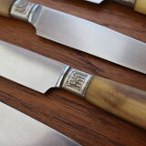 Set of 10 horn knives