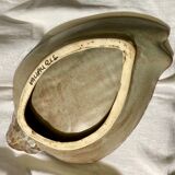 Shell fruit cup Vallauris