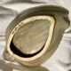 Shell fruit cup Vallauris