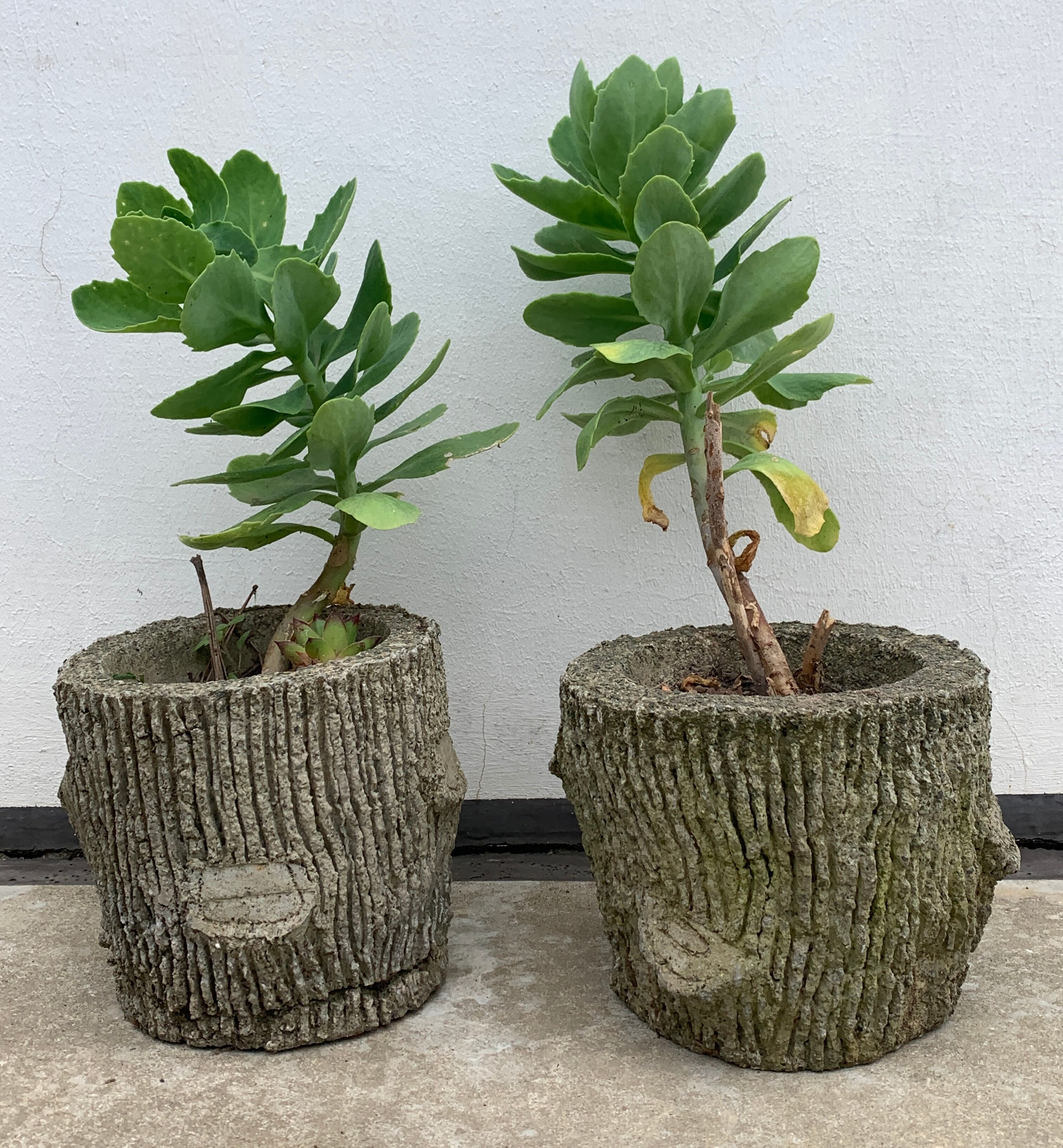Two cement planters imitation tree trunks