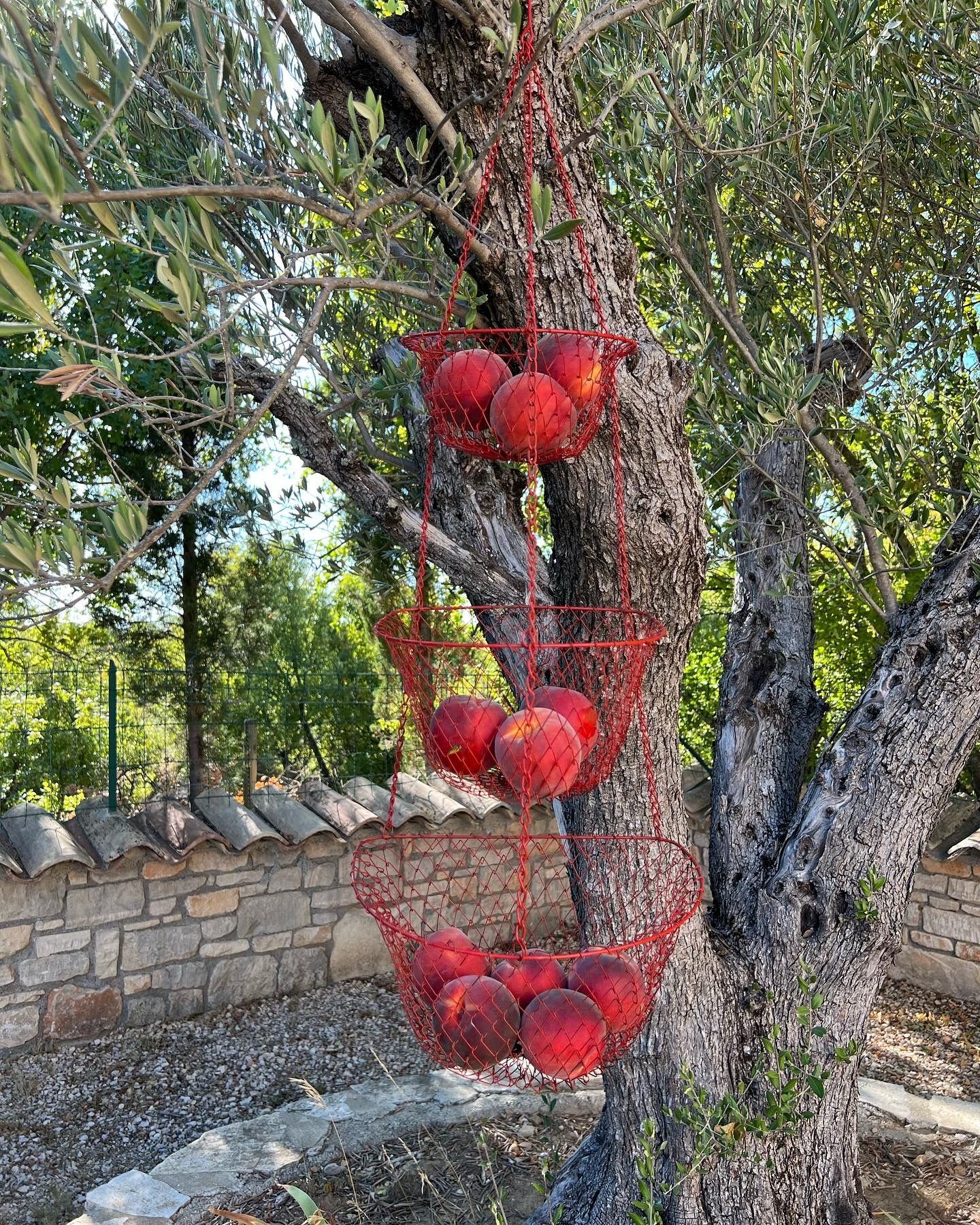 Hanging pan