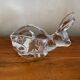 Lapin vide poche