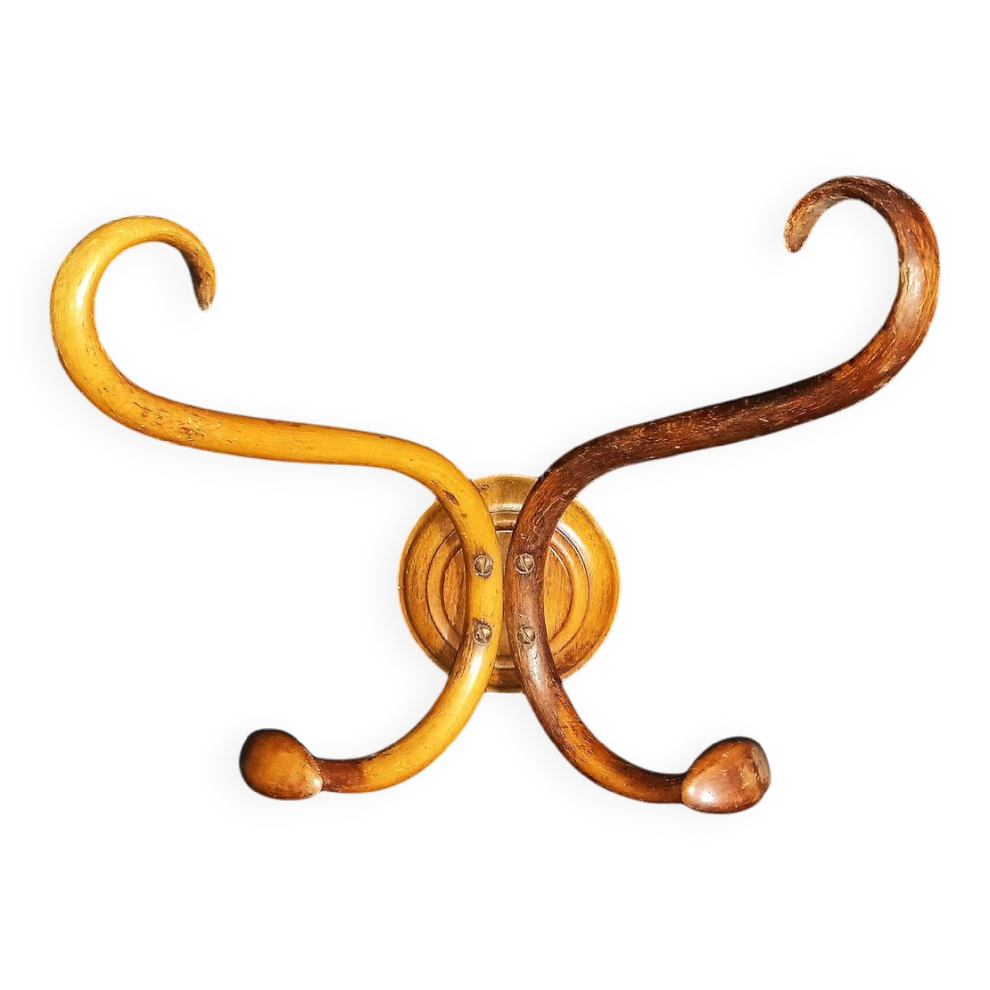 Double Art Nouveau Coat Hook in Bent Wood from Thonet