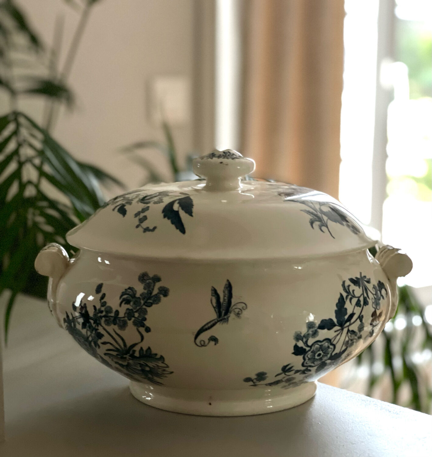 Longwy iron earth tureen