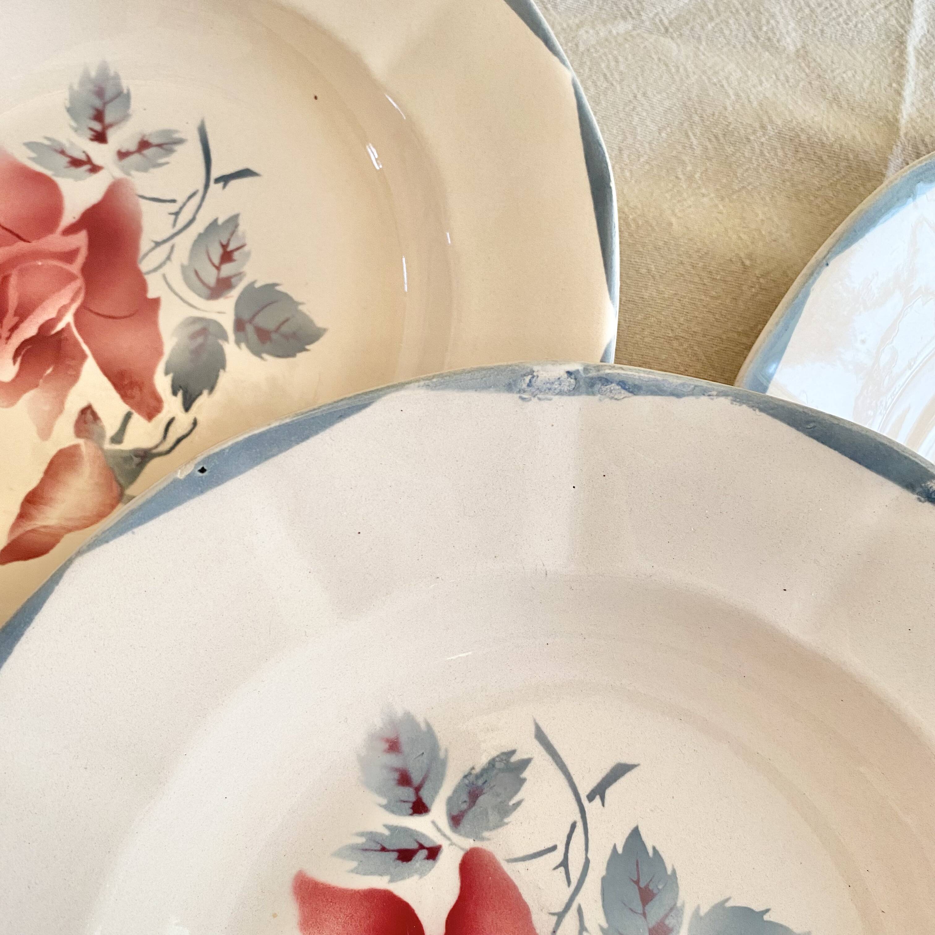 Digouin iron earth soup plates