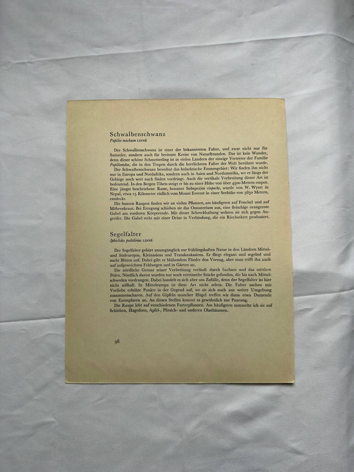 Botanical butterfly print vintage zoo lithograph decor