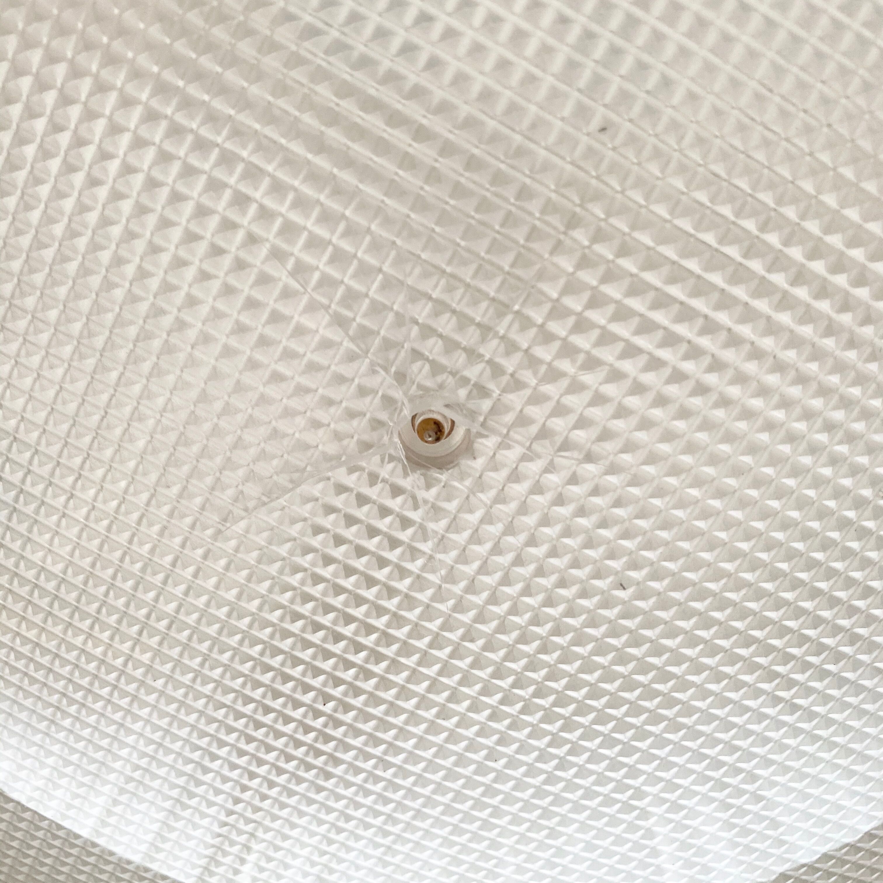 Floor lamp "Twiggy" Foscarini.