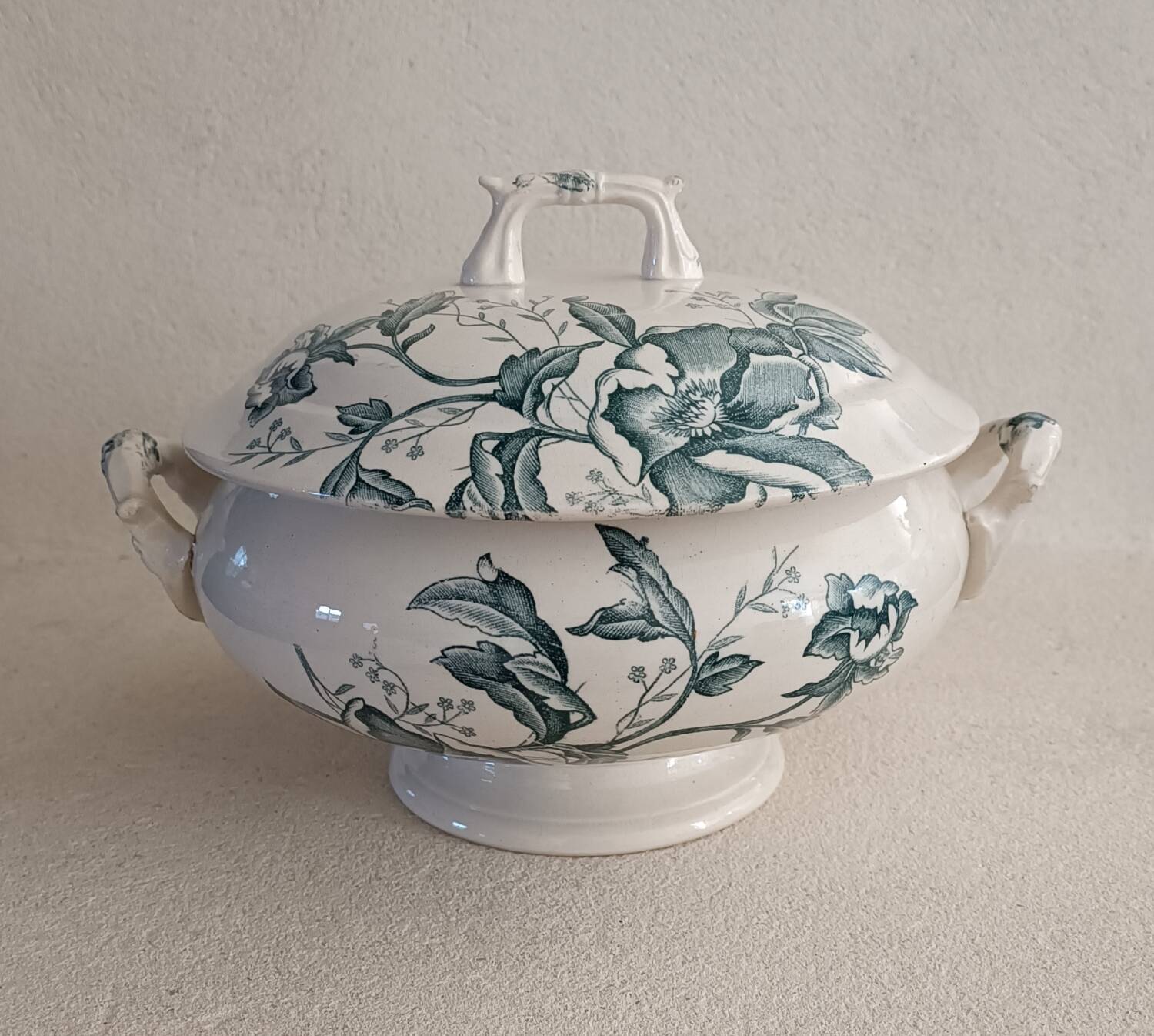 Lyon iron earth soup tureen