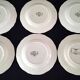 6 Sarreguemines earthenware dessert plates Model Obernai