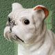 Chien, bouledogue, en terre cuite de Bavent