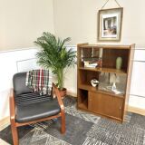 Vintage bookcase