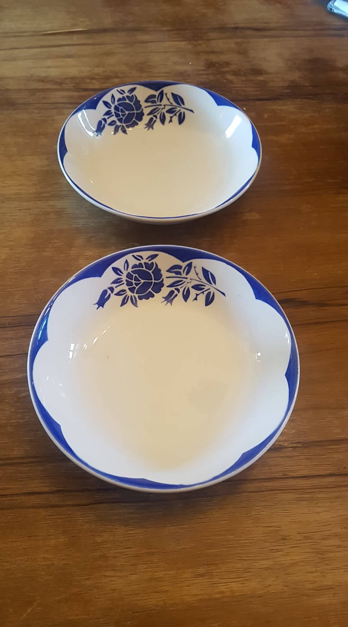 Set of 2 plates digoin sarreguemines model corsica
