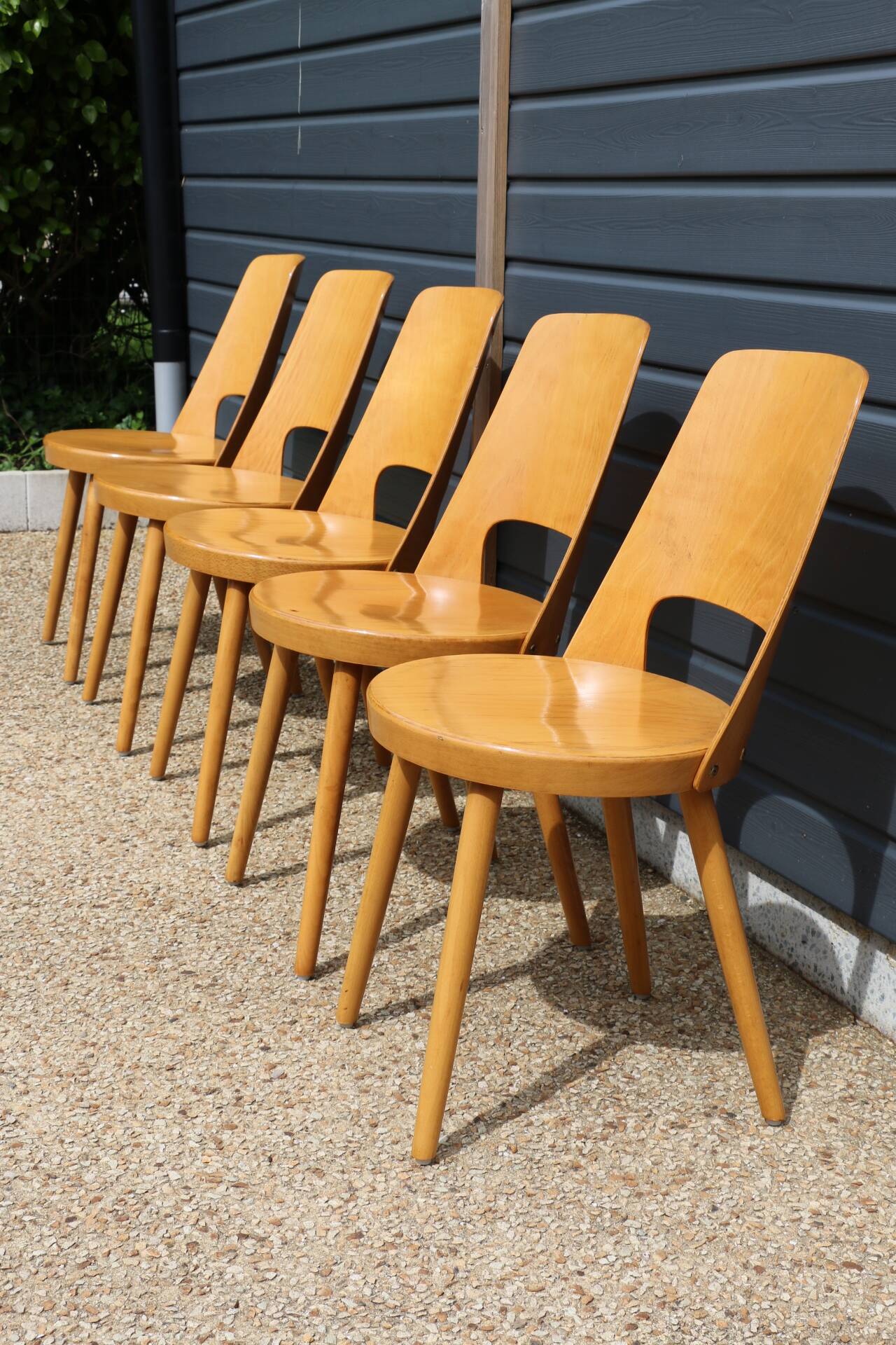 5 BAUMANN “MONDOR” light beech chairs