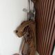 Old golf bag with 7 vintage clubs