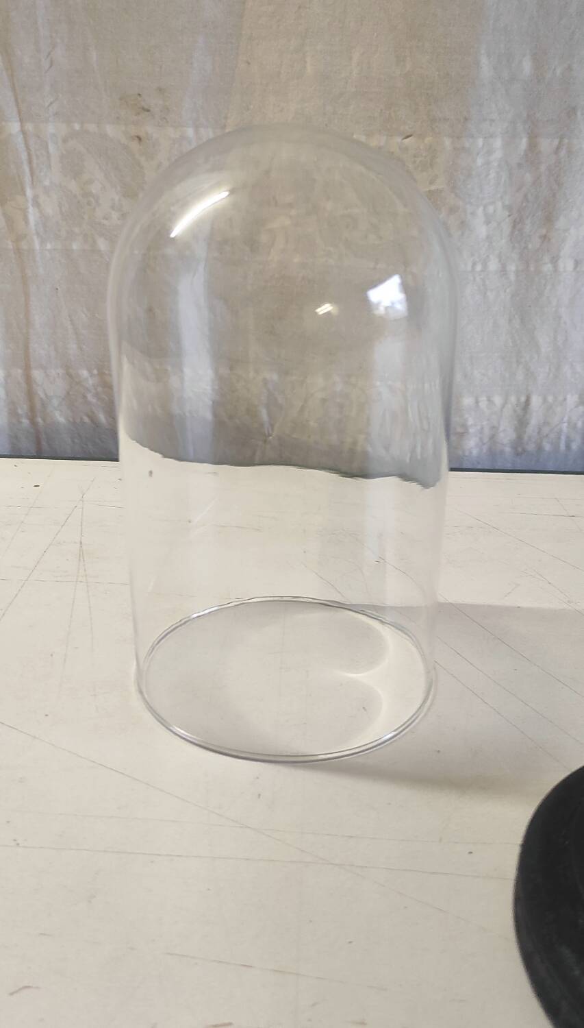 Glass globe and black wooden base - mid 20th century