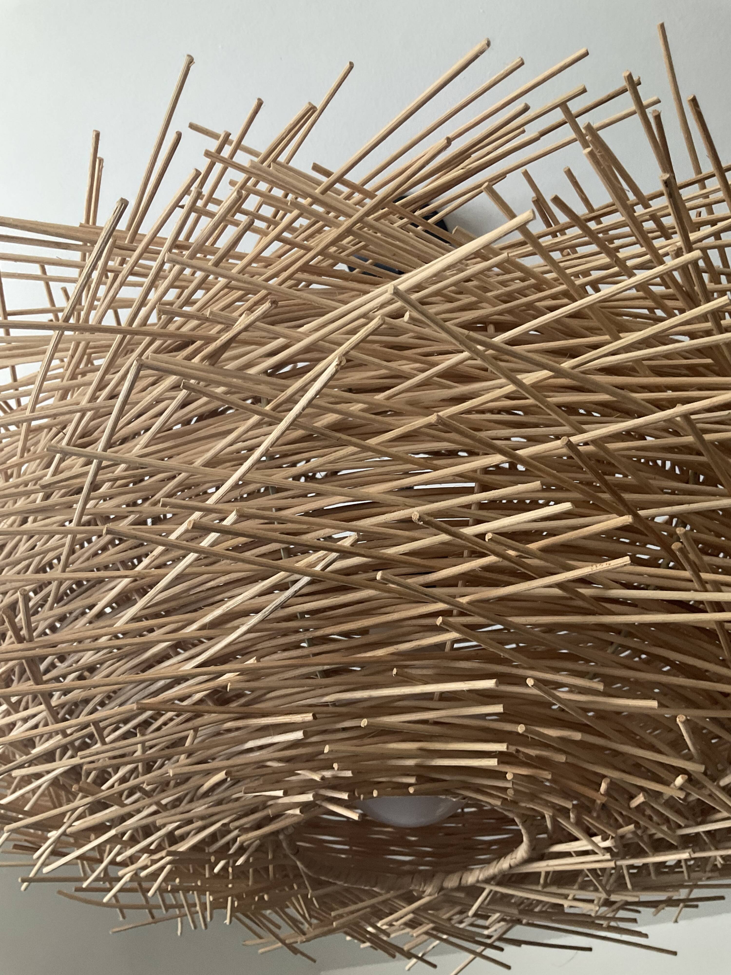 Natural rattan nest suspension