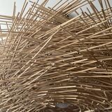 Natural rattan nest suspension