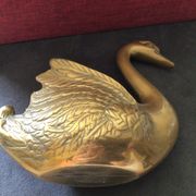 Cygne laiton