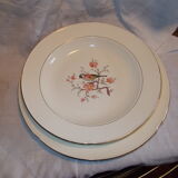 Lot 2 saline dishes France