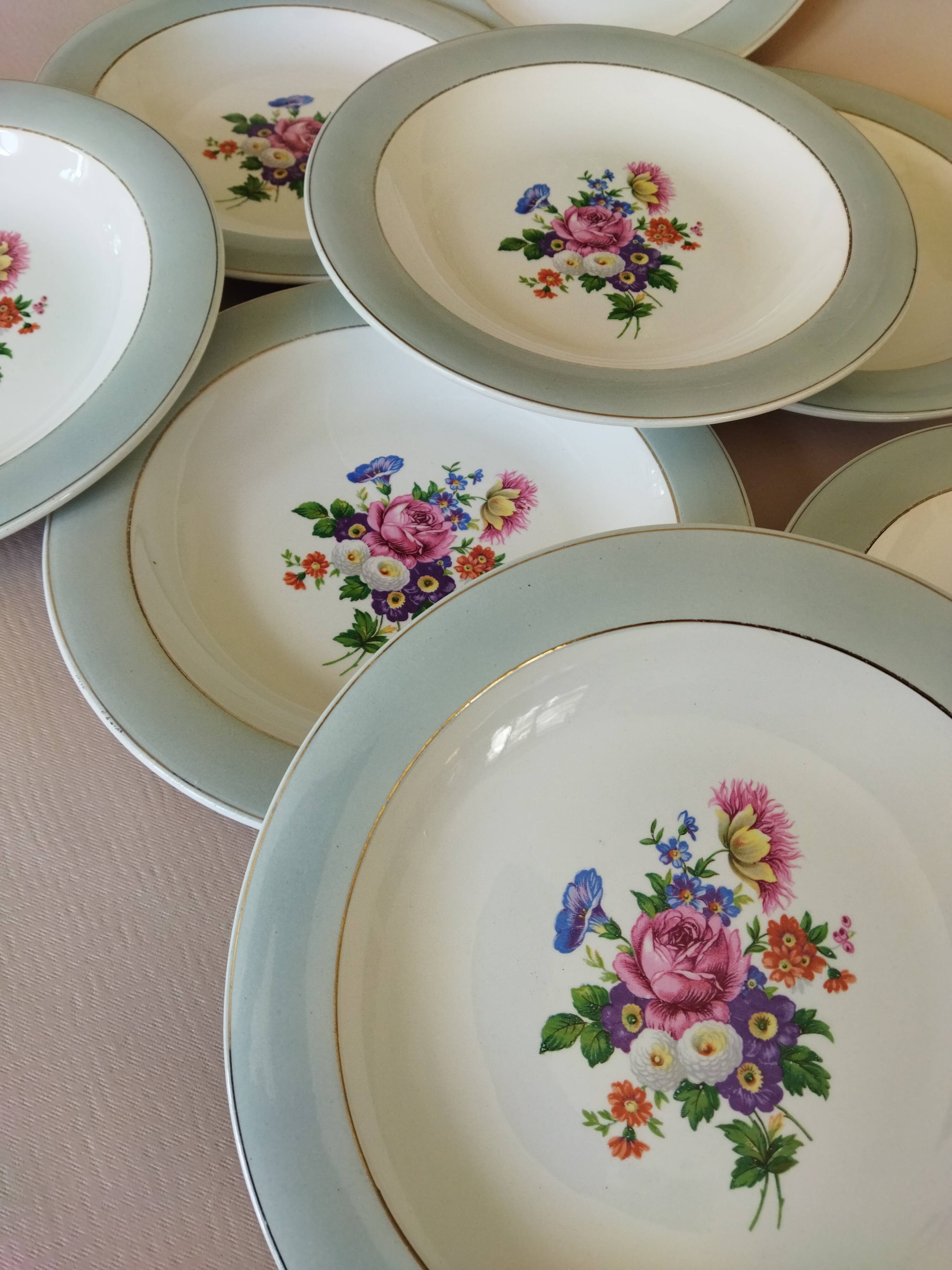 8 semi-deep plates Salins Opaceline 702