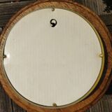 Round frame domed butterflies naturalized