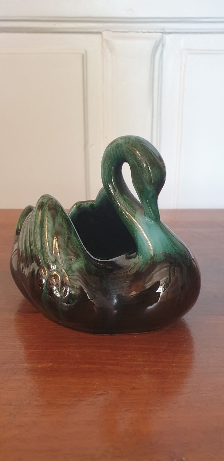 Empty pocket swan canada