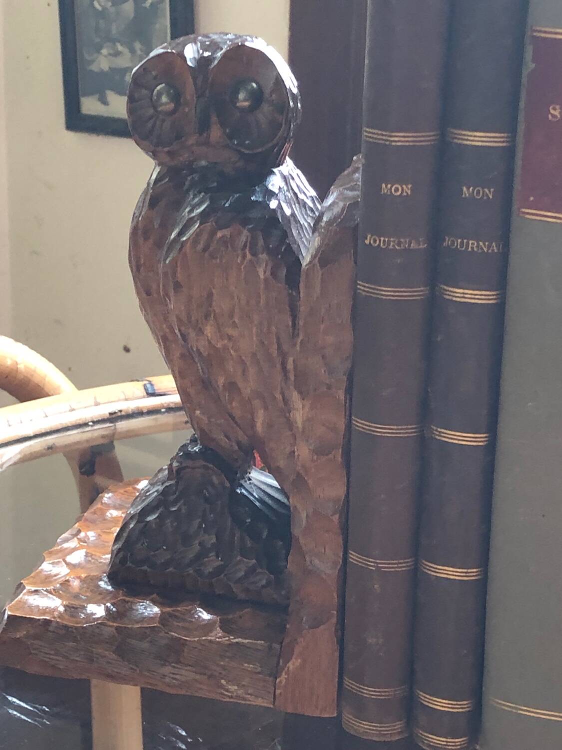 Free-range owls