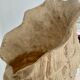 Floor lamp Shell "Ariell" by IIhan Koman 80s