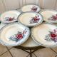 set of 6 flat plates Digoin Sarreguemines model "Lot" 30s