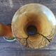 Pair of vases signed Legras