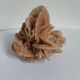 Rose des sables et coquillages marins