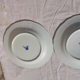 2 flat plates in Gien earthenware model rooster and peonies year 1940