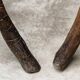 Paire de chaises brutalistes en bois brut