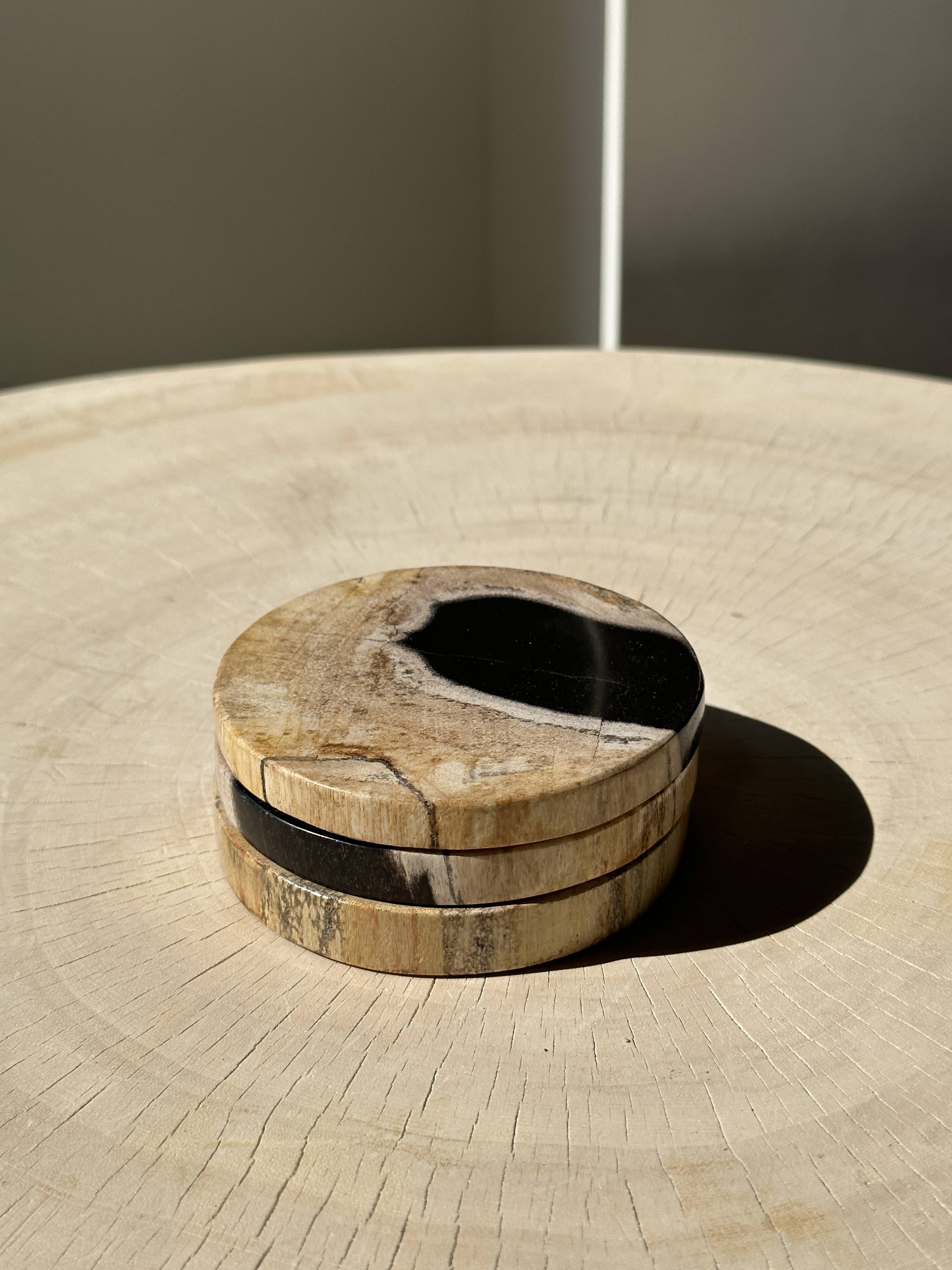 Set of 3 fossilized wood coasters (clear)