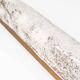 Brass and muranoglass tubular sconce by Hillebrand
