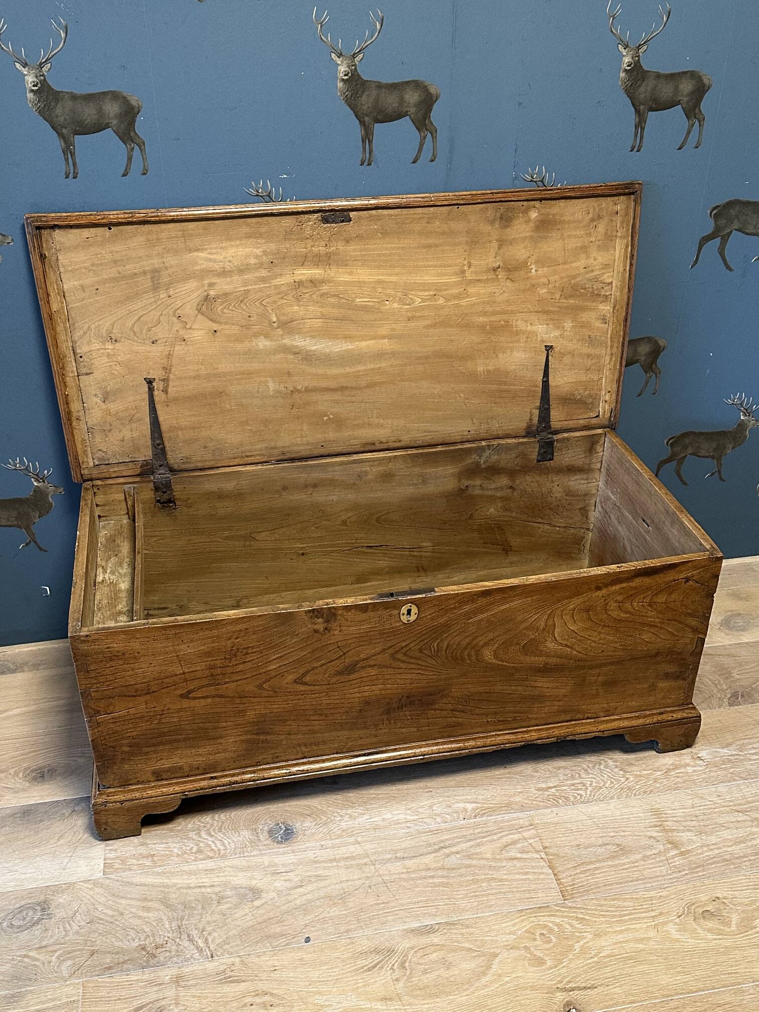18th Century elm box
