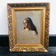 Portrait of a young Flemish girl