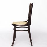 Fischel Bentwood Chair – Early 20th Century Beechwood Frame w